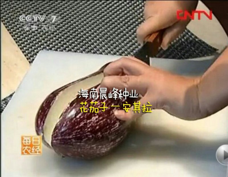 彩色茄子种子，颜色漂亮，口感佳，抗病高产