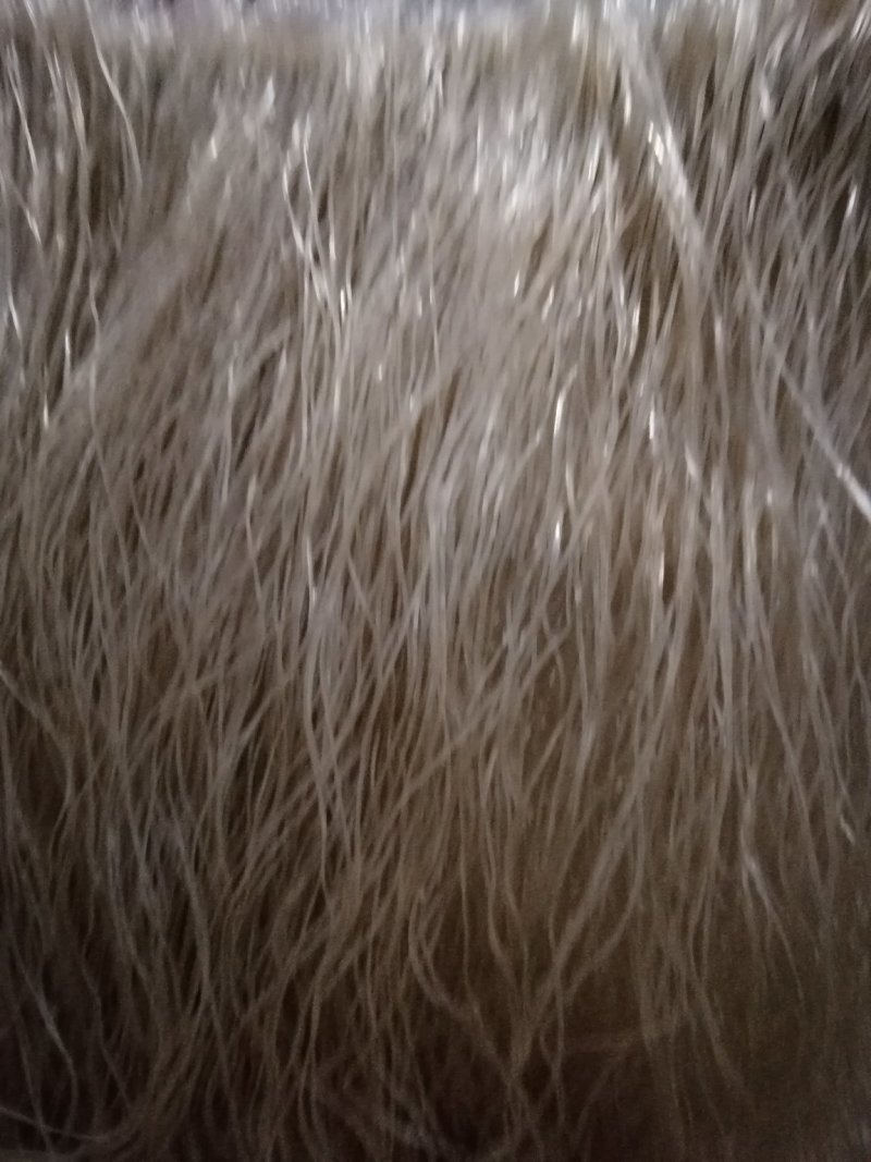 红薯粉条