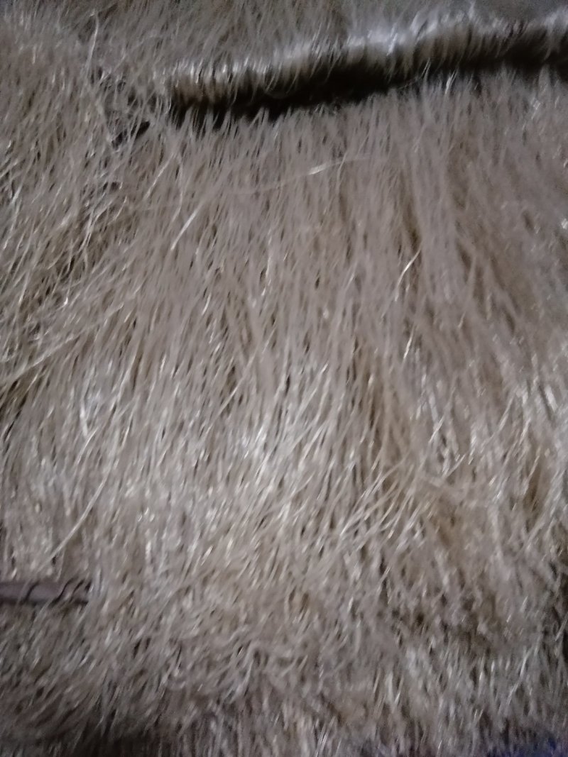 红薯粉条