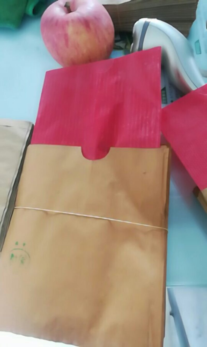 苹果袋批发