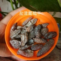 大粒，盐津葡萄干，果脯果干