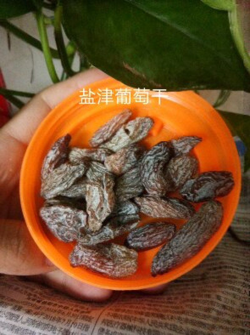 大粒，盐津葡萄干，果脯果干