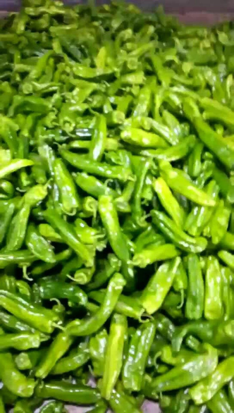 301鲜辣椒