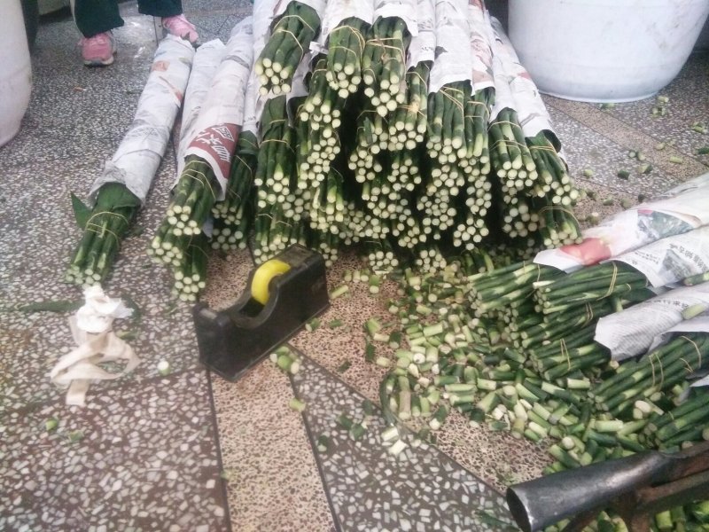 西双版纳绿色富贵竹可图片视频看货产地直供，支持线上交易