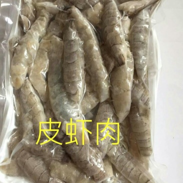 皮皮虾