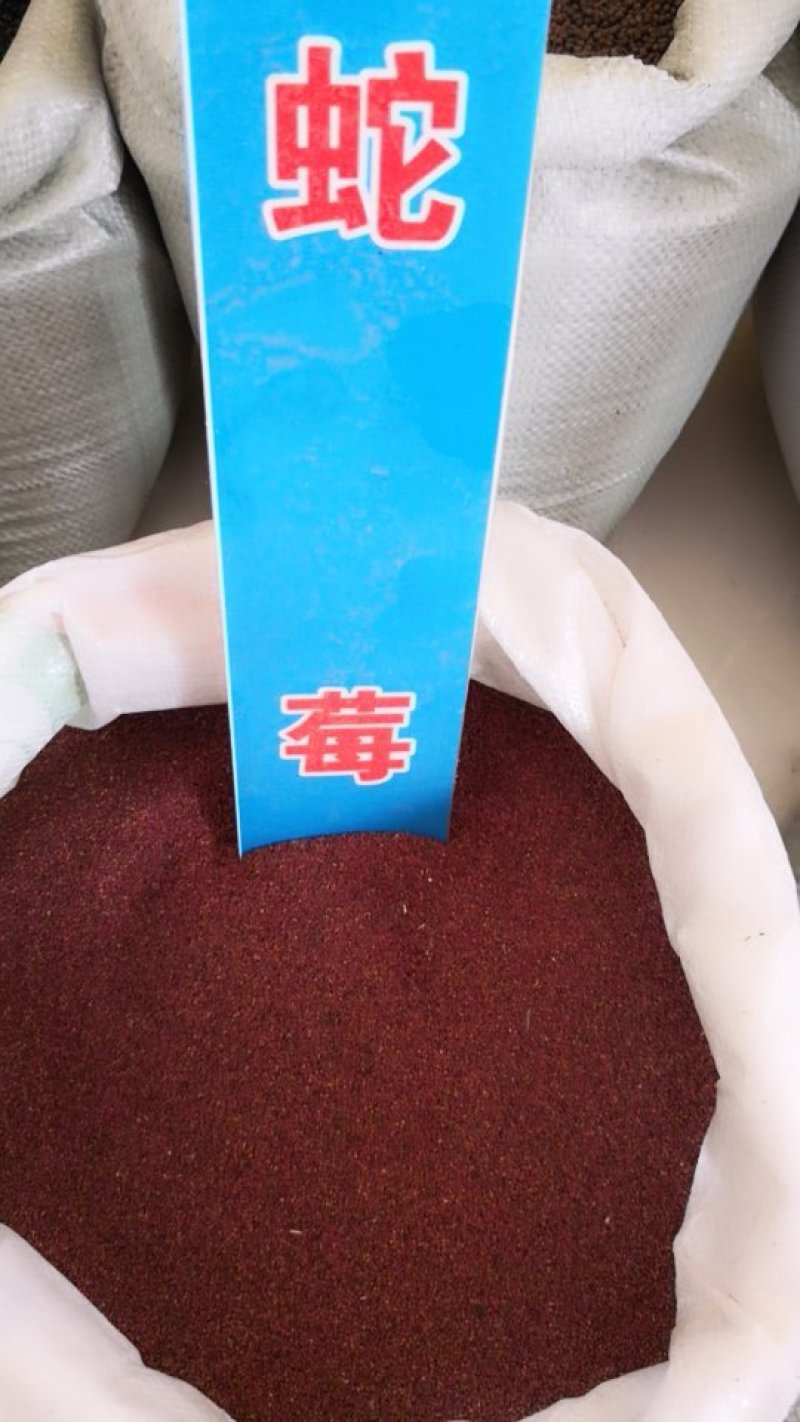 蛇莓
