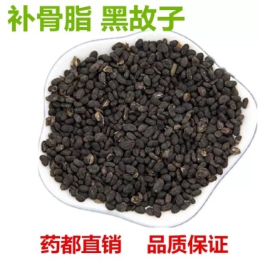 补骨脂1斤包邮