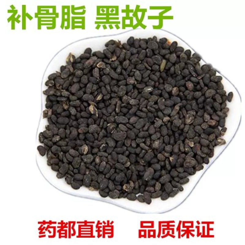 补骨脂1斤包邮
