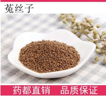 内蒙菟丝子1斤包邮