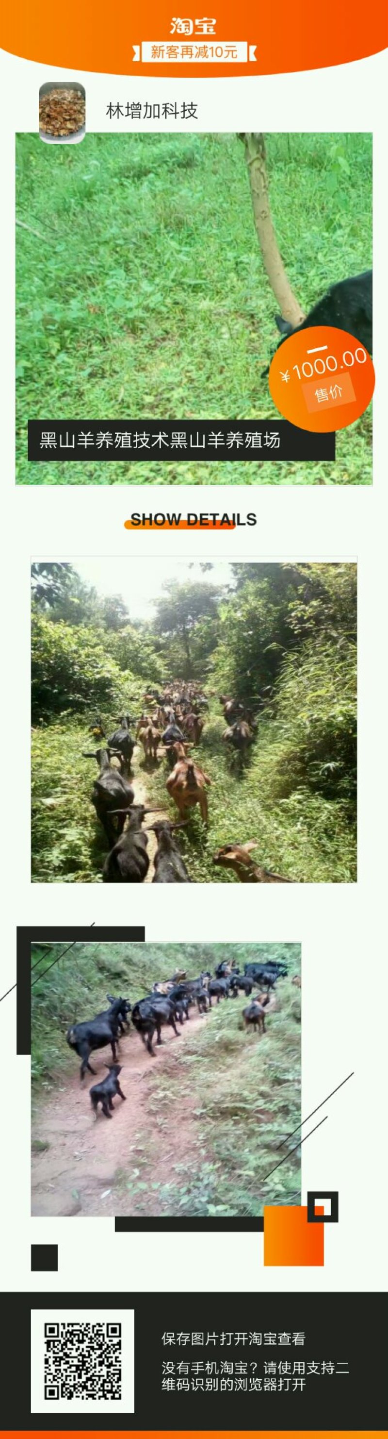 黑山羊养殖基地黑山羊胎盘