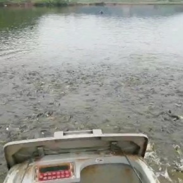 鲫鱼3一8两