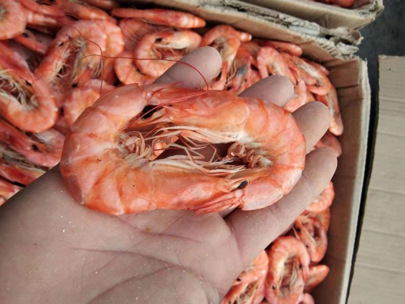 对虾