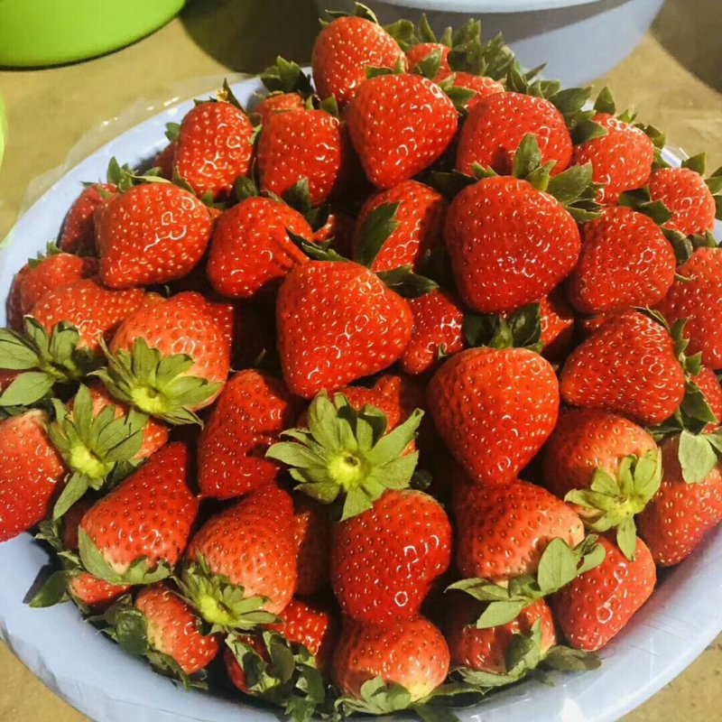 奶油，红颜草莓