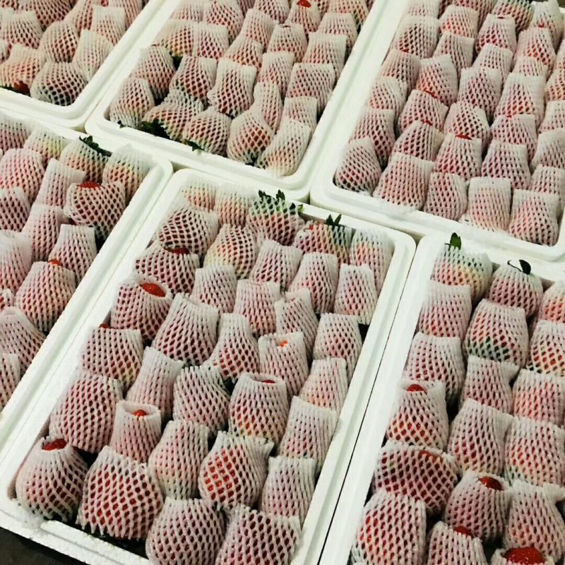 奶油，红颜草莓