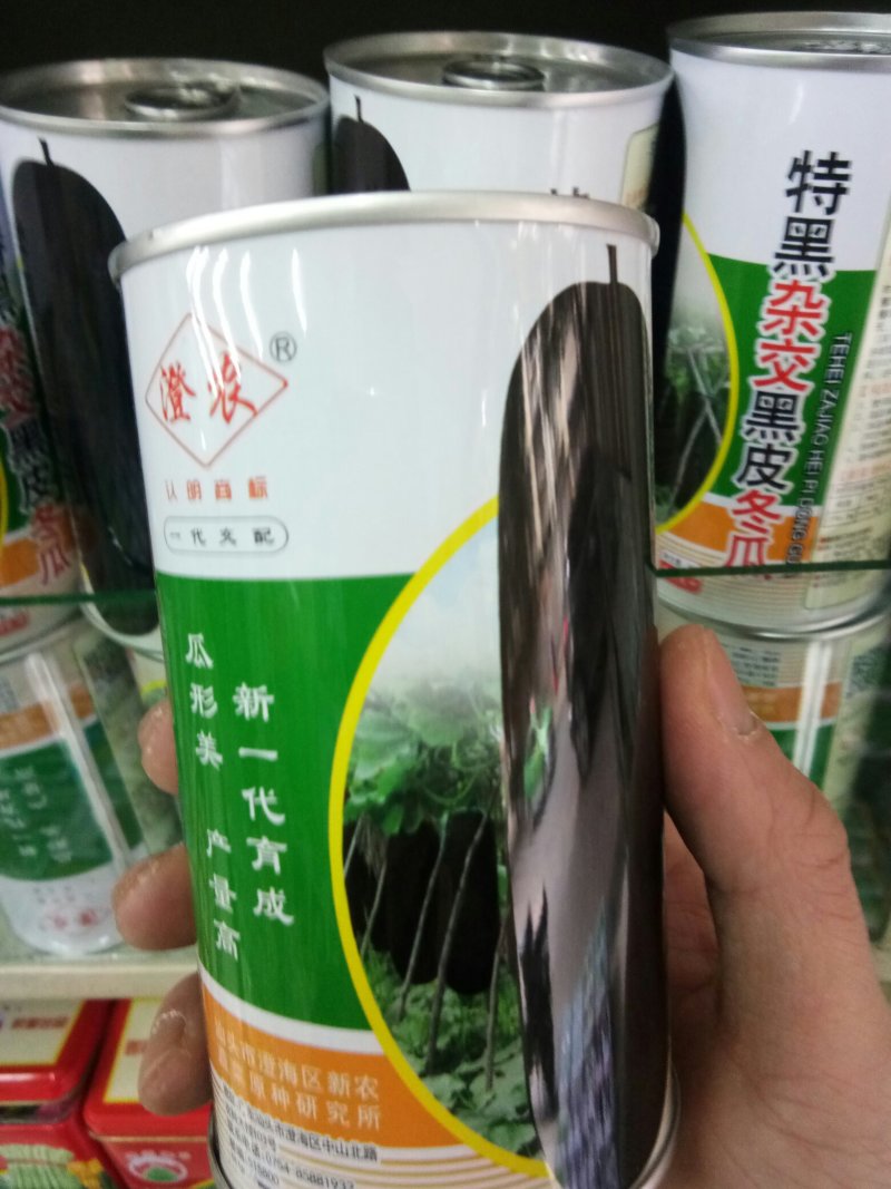 实心满心杂交爬地黑皮冬瓜种子青皮冬瓜种子炮筒型腔室小