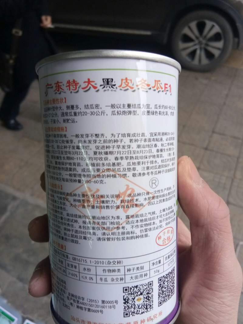 大广东黑皮大冬瓜种子地冬瓜种子青皮冬瓜种子