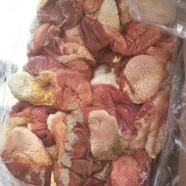 驴肚