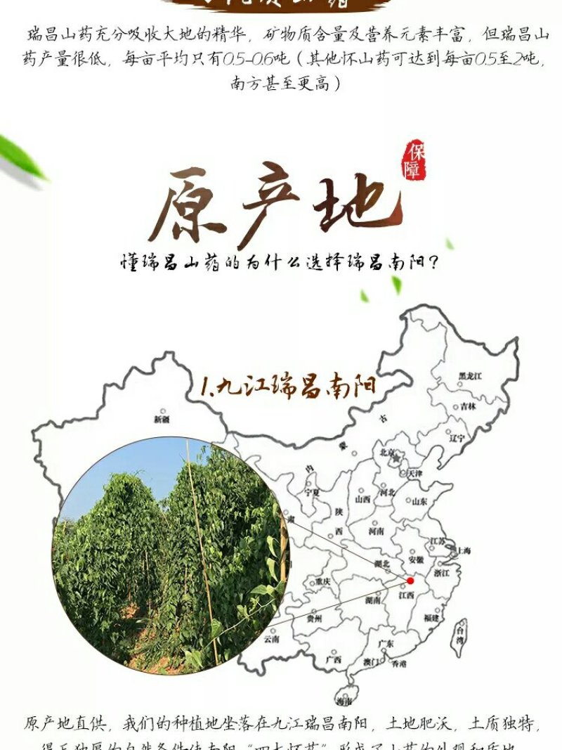 正宗瑞昌山药非铁棍淮山瑞昌特产