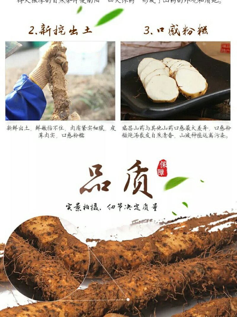 正宗瑞昌山药非铁棍淮山瑞昌特产