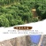 正宗瑞昌山药非铁棍淮山瑞昌特产
