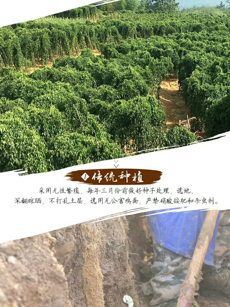 正宗瑞昌山药非铁棍淮山瑞昌特产