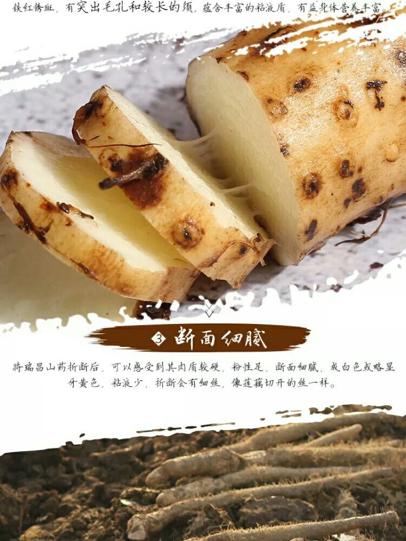 正宗瑞昌山药非铁棍淮山瑞昌特产