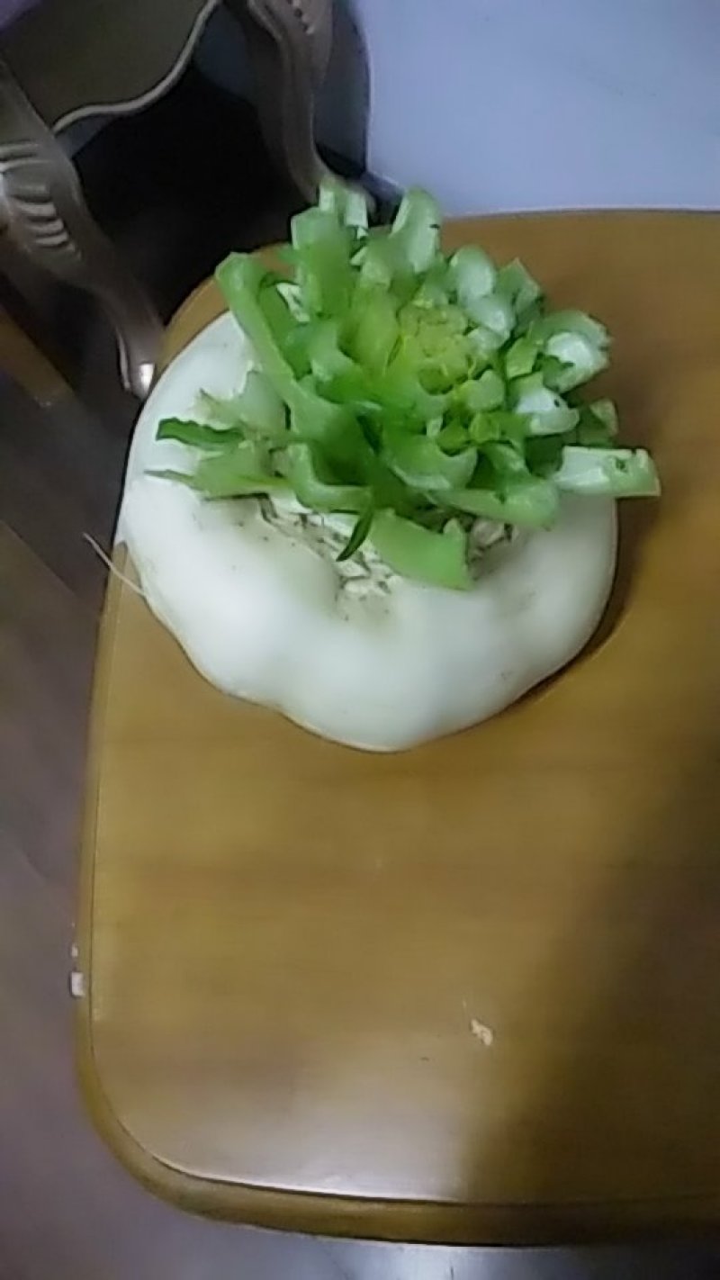 玉环干江正宗盘菜