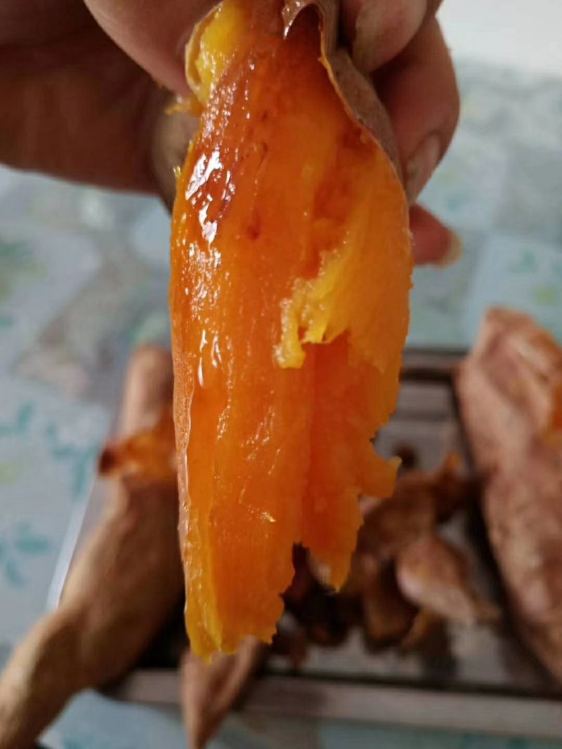 烟薯，西瓜红，精品薯。