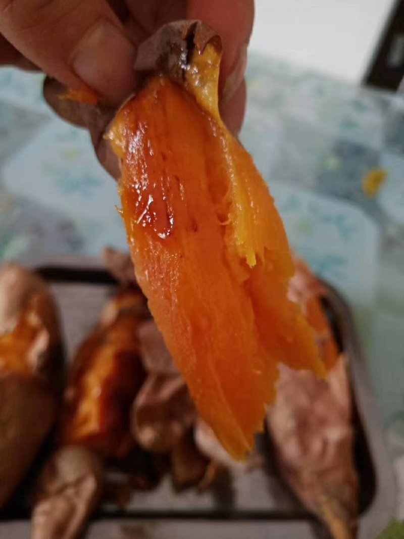 烟薯，西瓜红，精品薯。