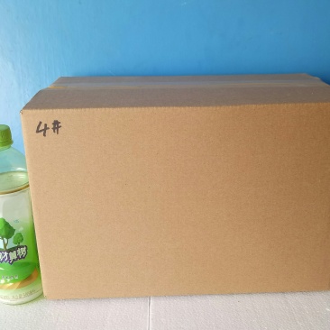 河南省内送货4号包装快递速递通用空白箱，可定做任意尺寸。