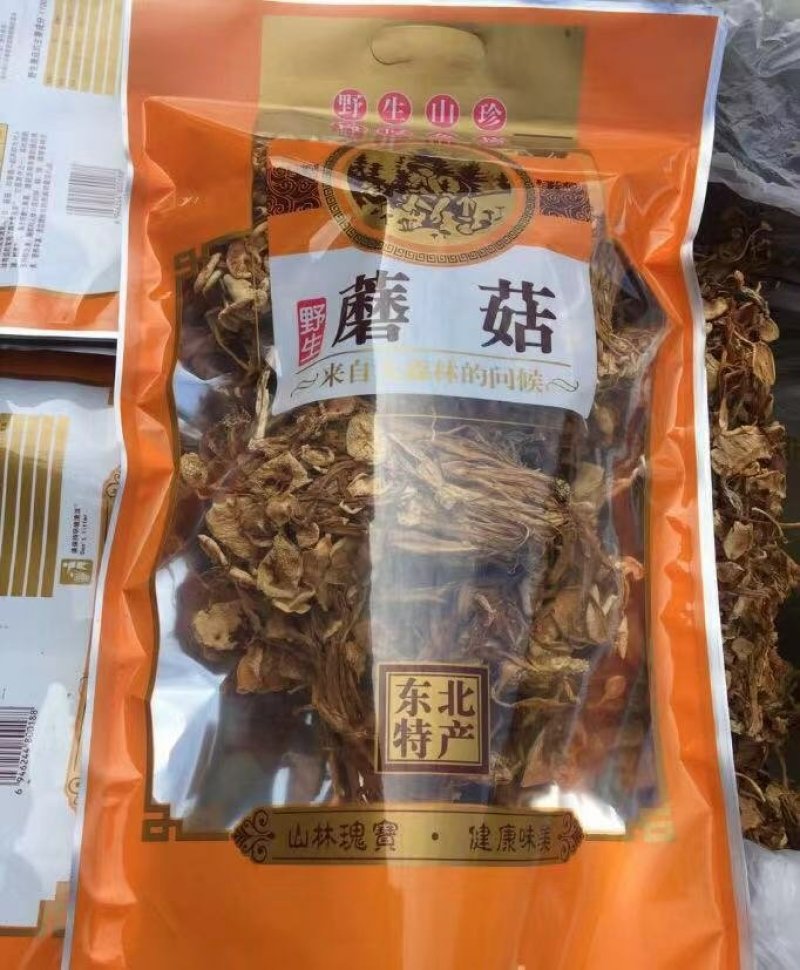 野生黄金菇