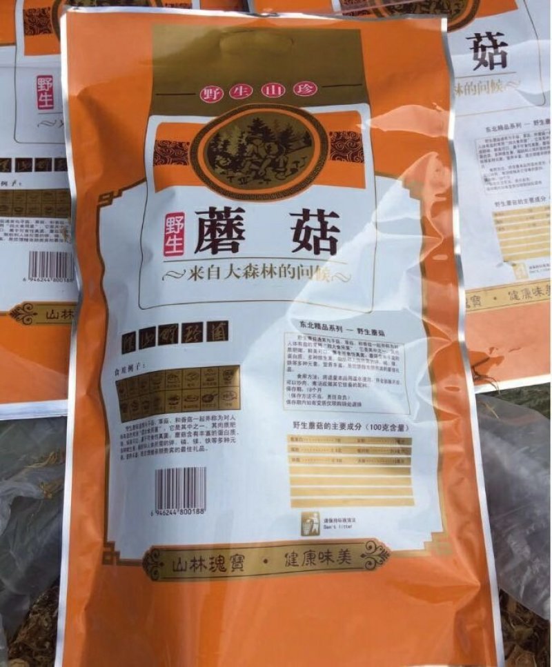 野生黄金菇
