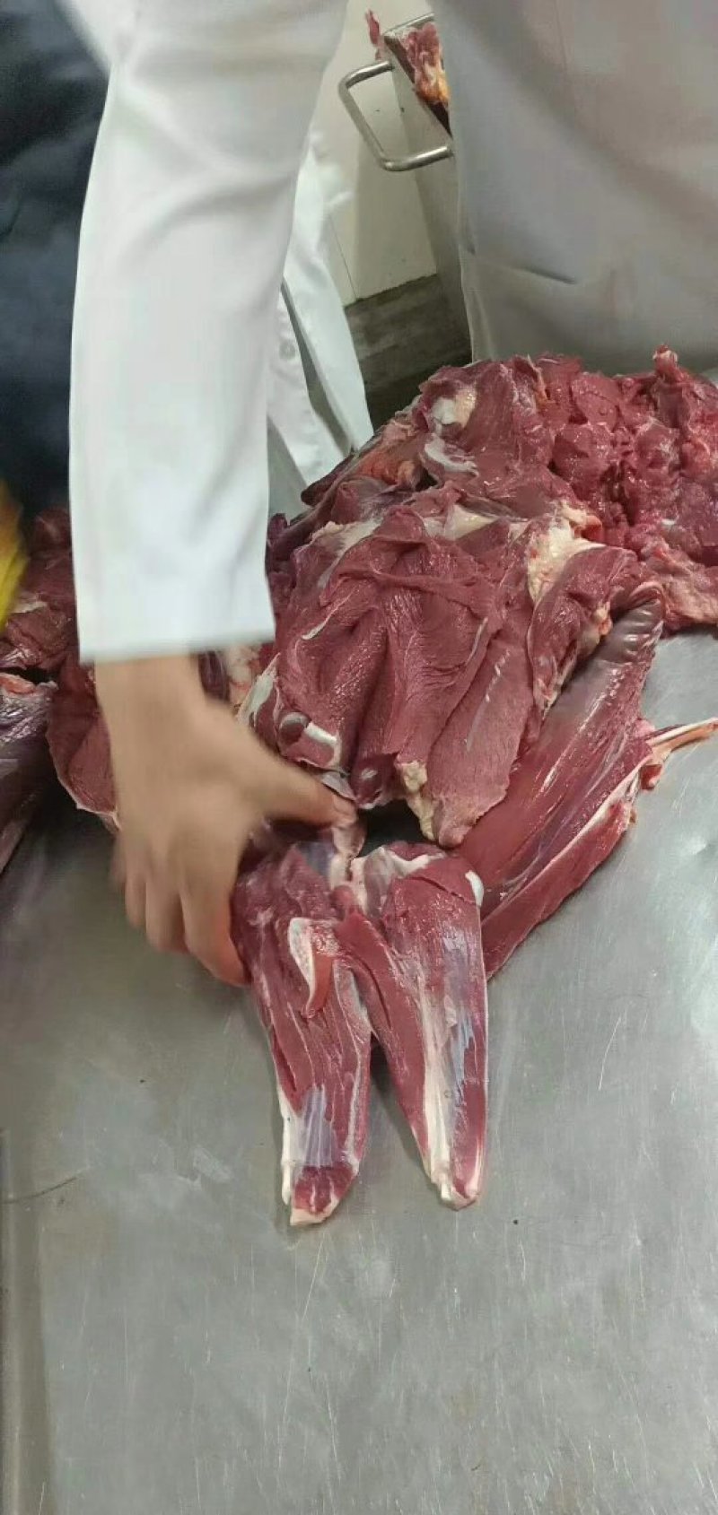 驴肉