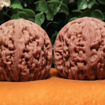 编号797号精品南疆石狮子头，边39-39.5肚41-