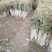 精品长白大葱产地直销，货源稳定供货全国市场，欢迎下单咨询