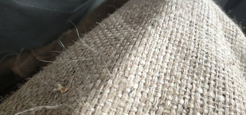 供应粮食麻袋防汛麻袋养护麻袋麻袋片