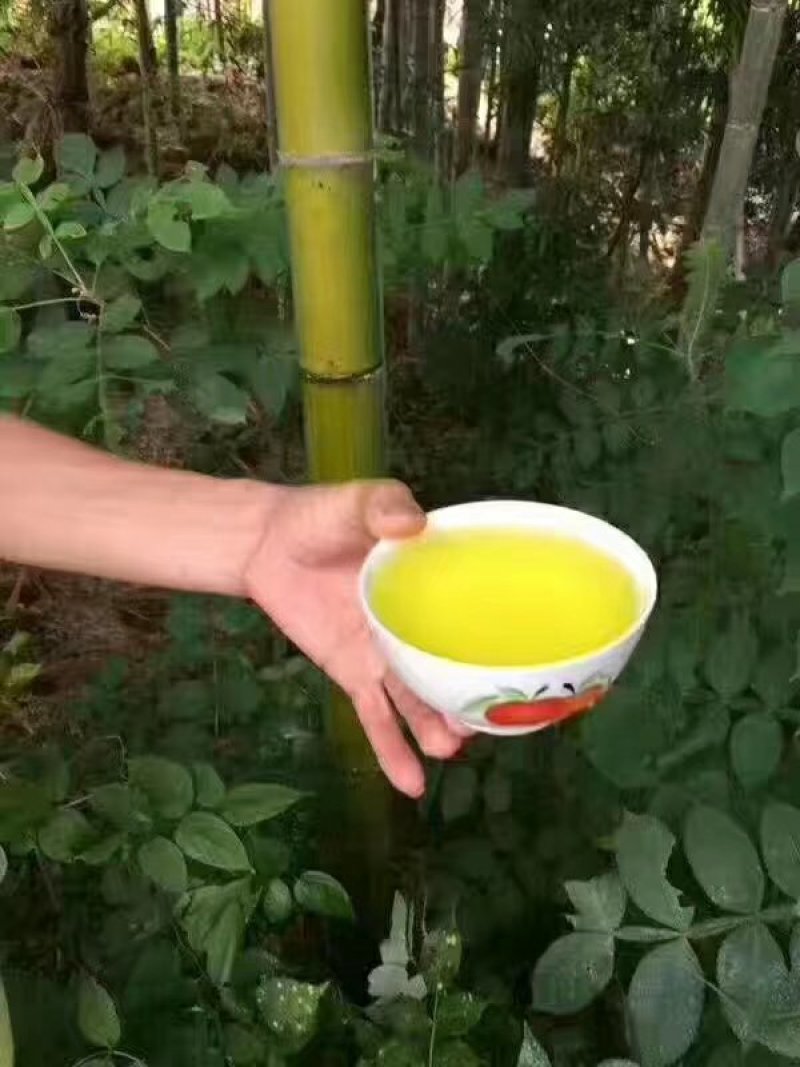 竹筒酒杨梅厂家大量现货