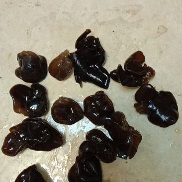 今年新货东北黑木耳，肉厚口感好，欢迎新老客户