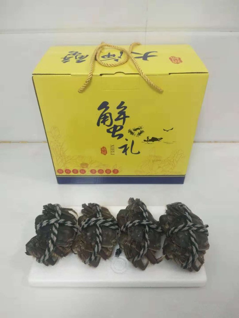红膏大闸蟹礼盒3公2母10只