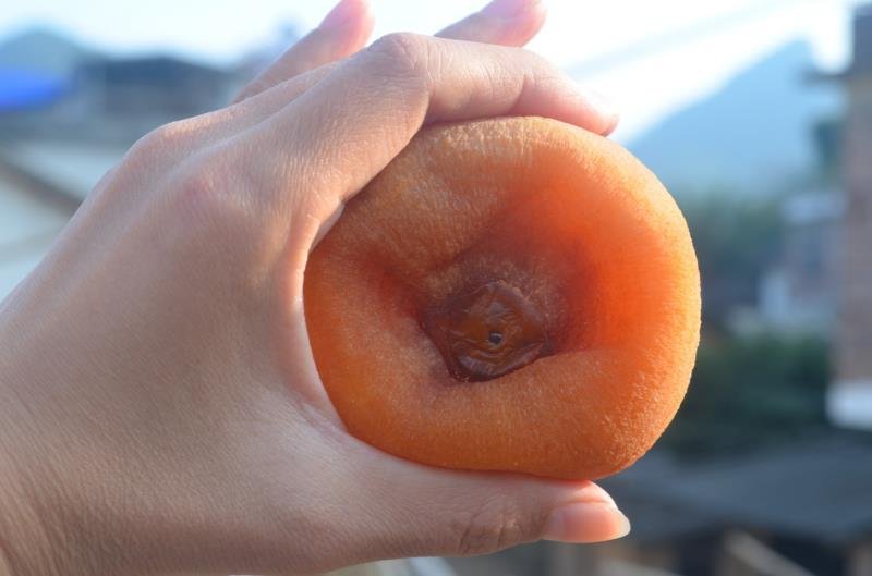恭城柿饼礼盒装一件代发包邮