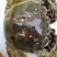 兴化红膏大闸蟹2.5两母
