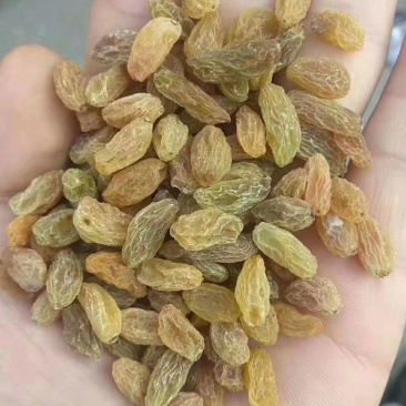 新疆葡萄干