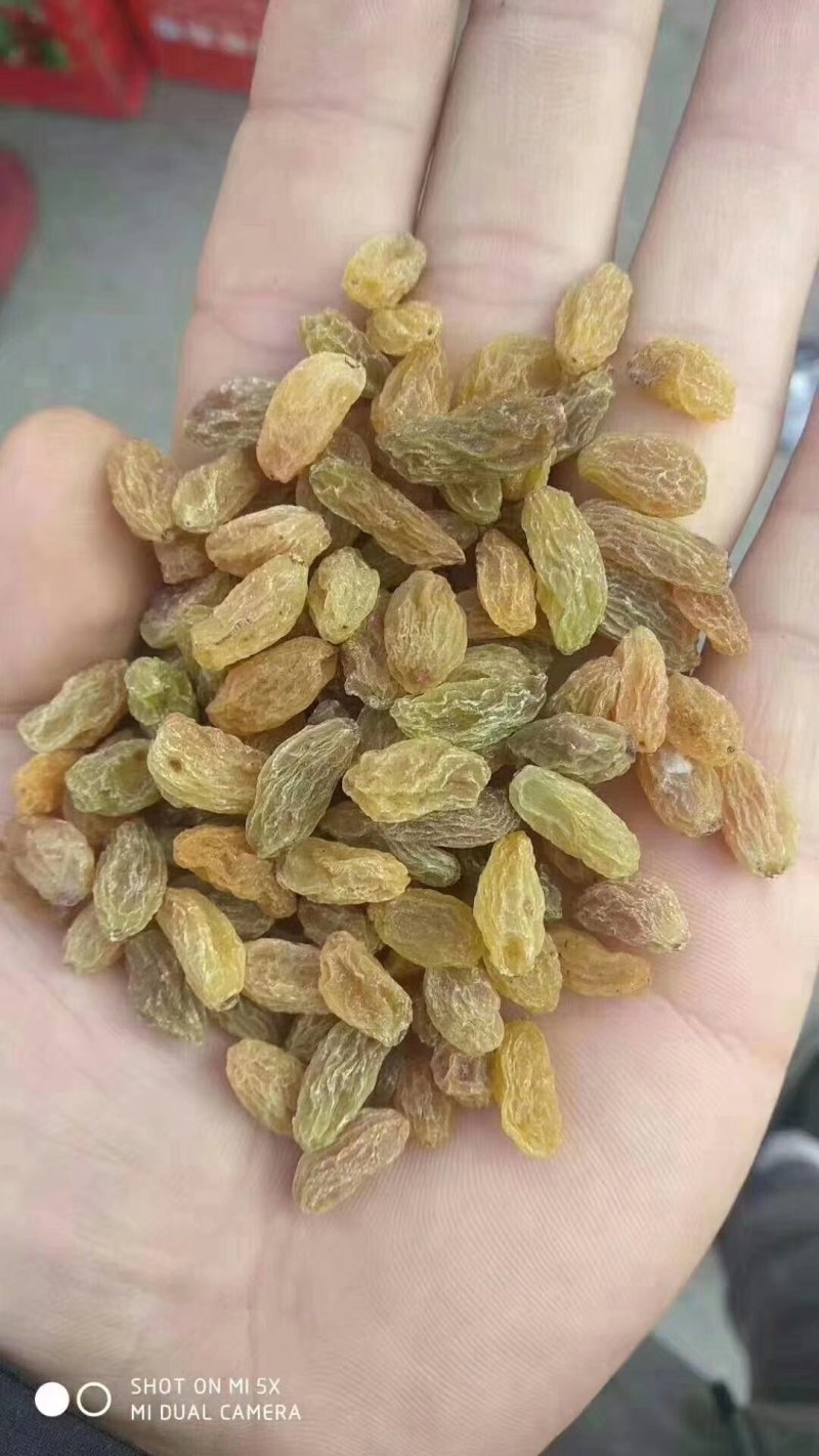 新疆葡萄干
