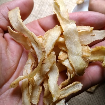 干玉竹
