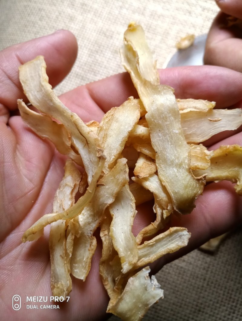 干玉竹