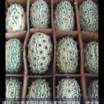 刺角瓜