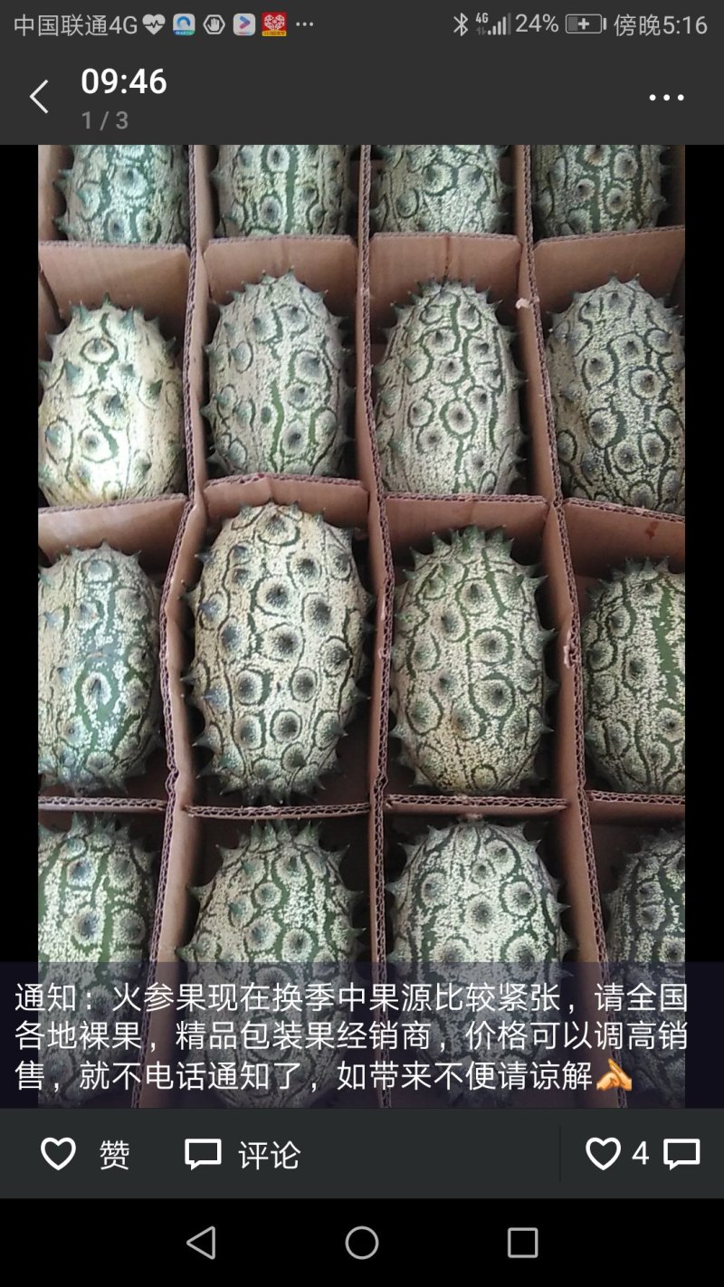 刺角瓜