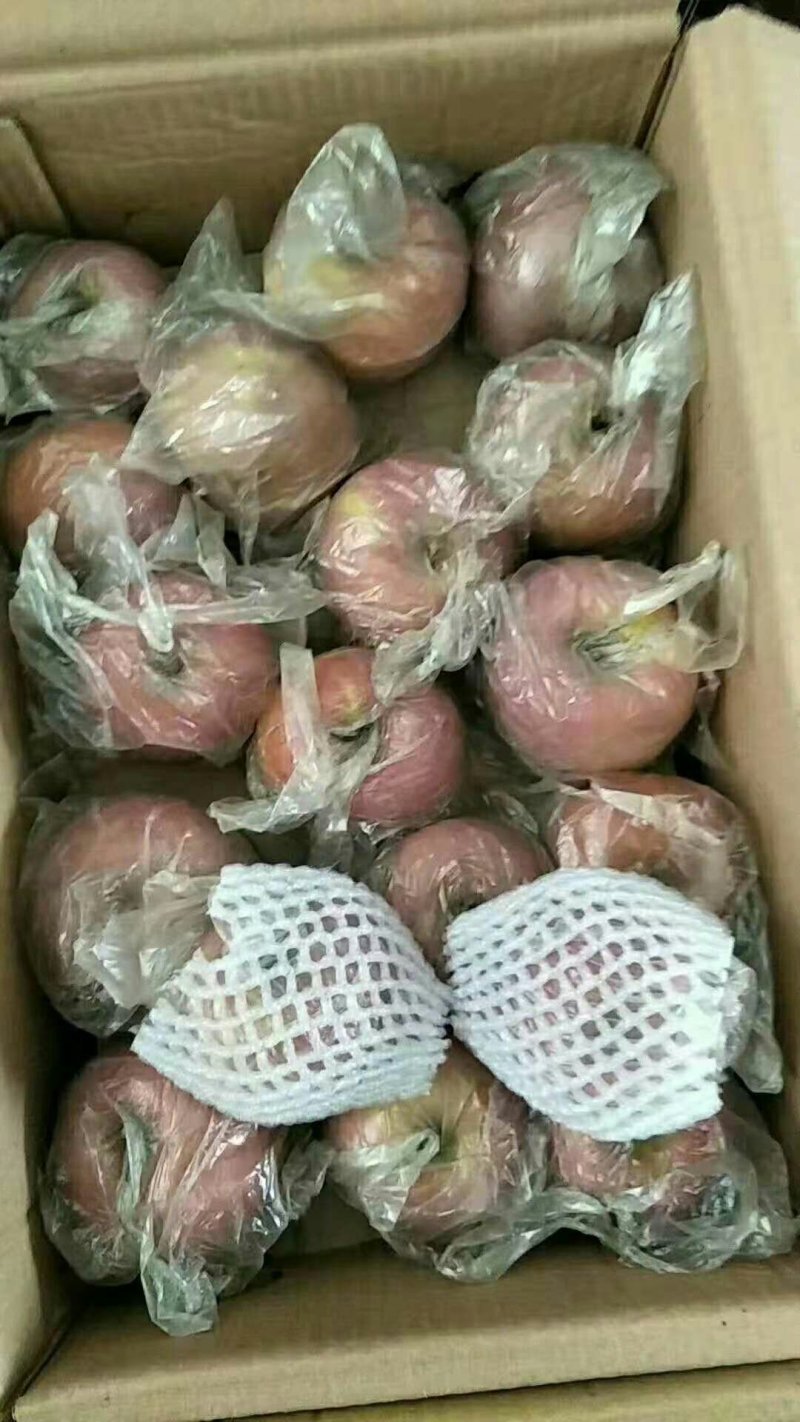 红富士苹果