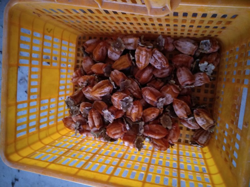柿饼