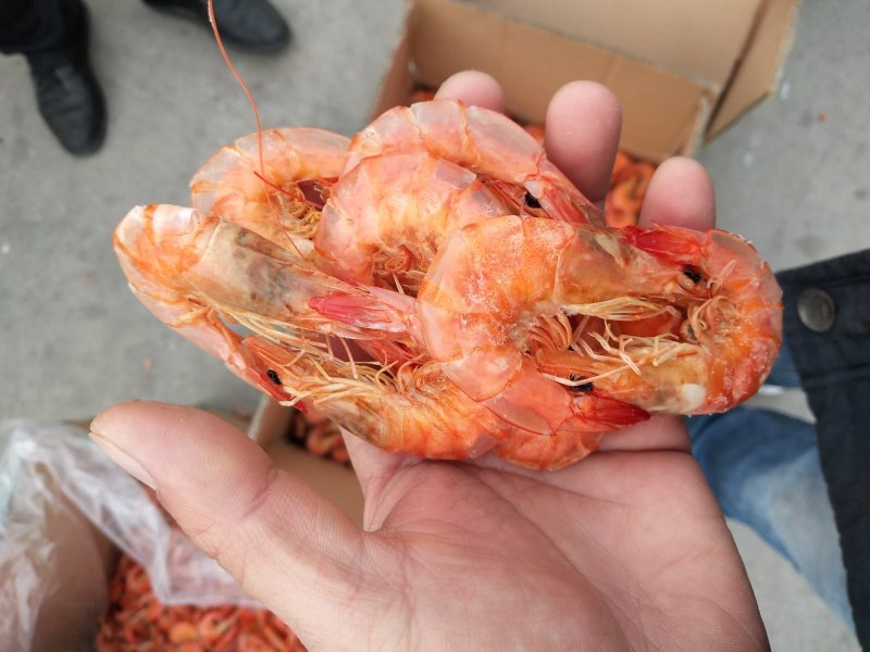 虾干，对虾，烘干虾，烤虾